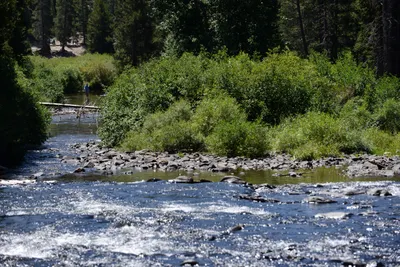 DSC_3637 (Large).JPG